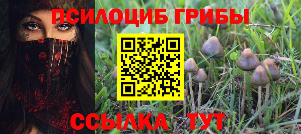 Тула  Псилоцибиновые грибы мухоморы  Вход с VPN  как найти   Галлюциногенные грибы Cubensis 